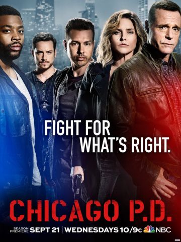 Полиция Чикаго 9 сезон 12 серия