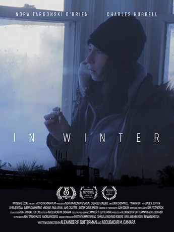 Зимой (2017)